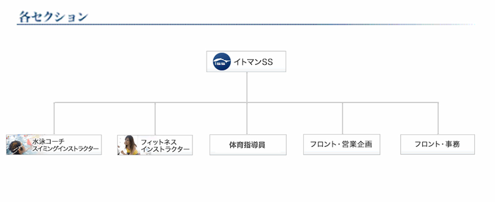 セクション