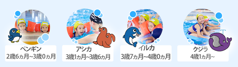 ペンギンクラス