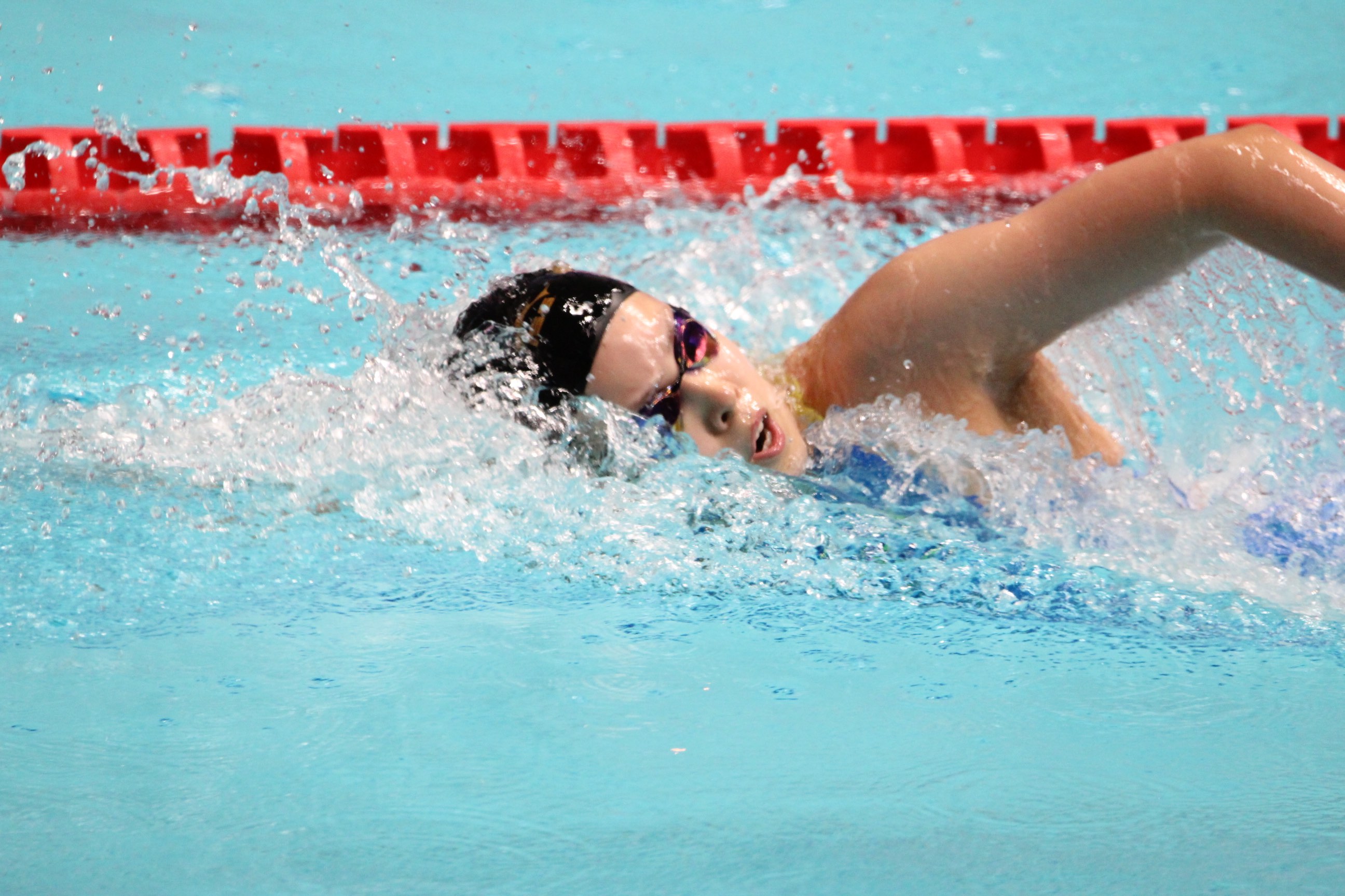<p>女子100m自由形優勝　池本選手</p>