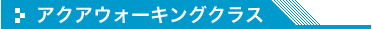 アクアウォーキングクラス