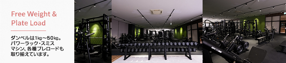 Free Weight & Plate Load