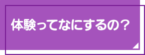 体験って何するの？