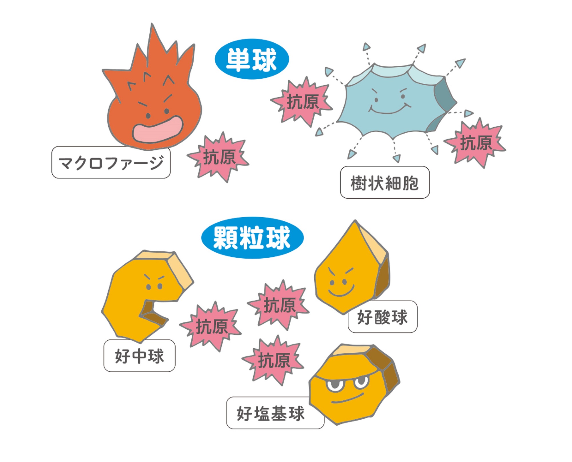 子育て情報web