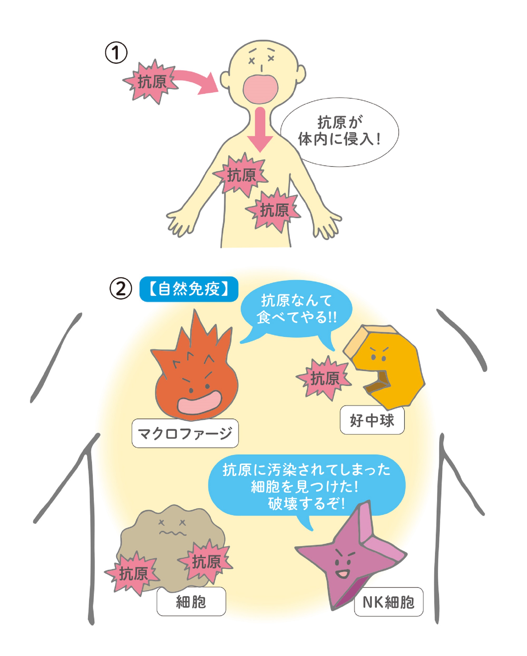 子育て情報web