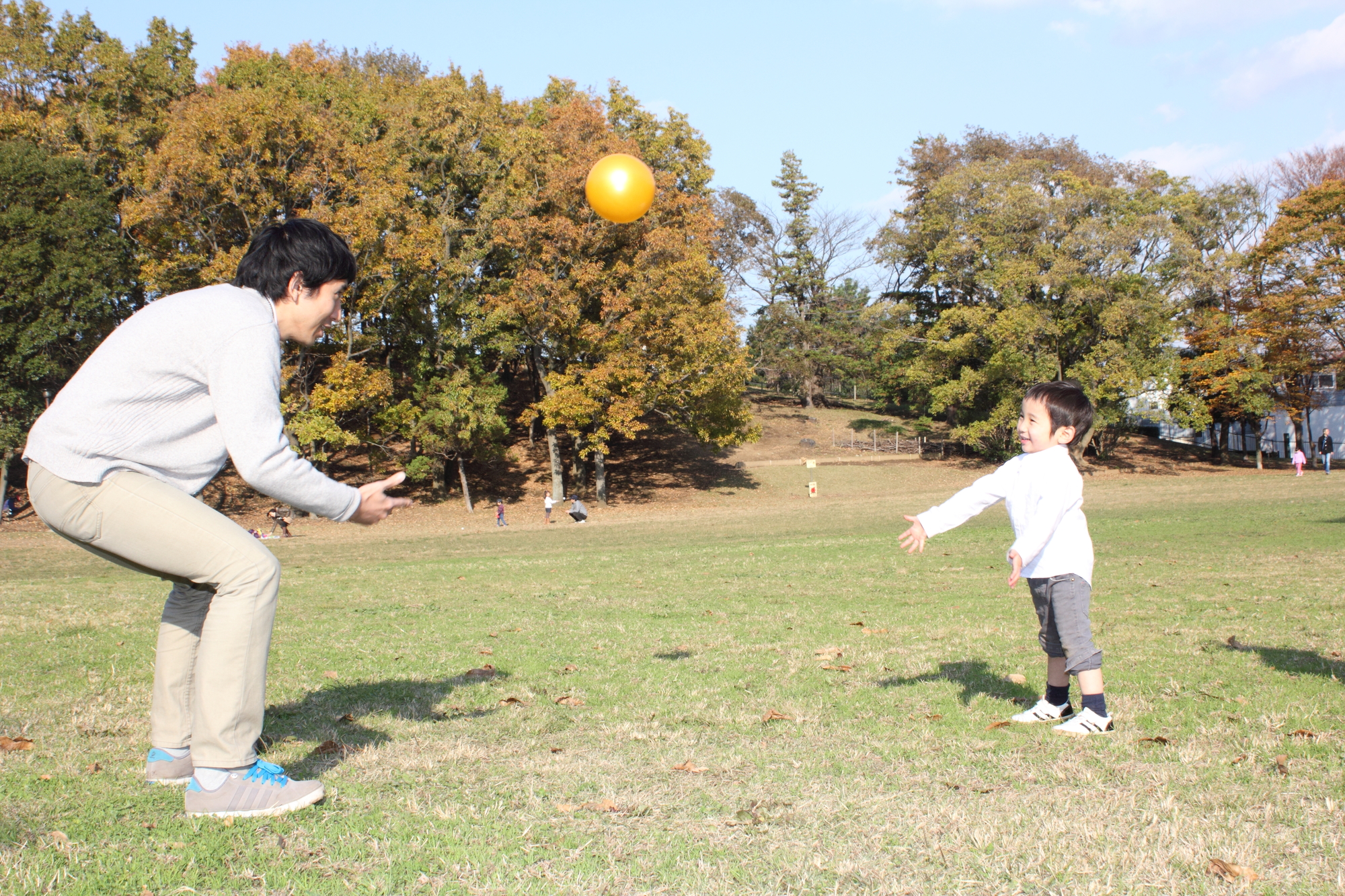 高齢者運動 22 座ったままできるリズム体操パート6 指の体操 Howagroup 医療 介護 福祉の豊和グループ