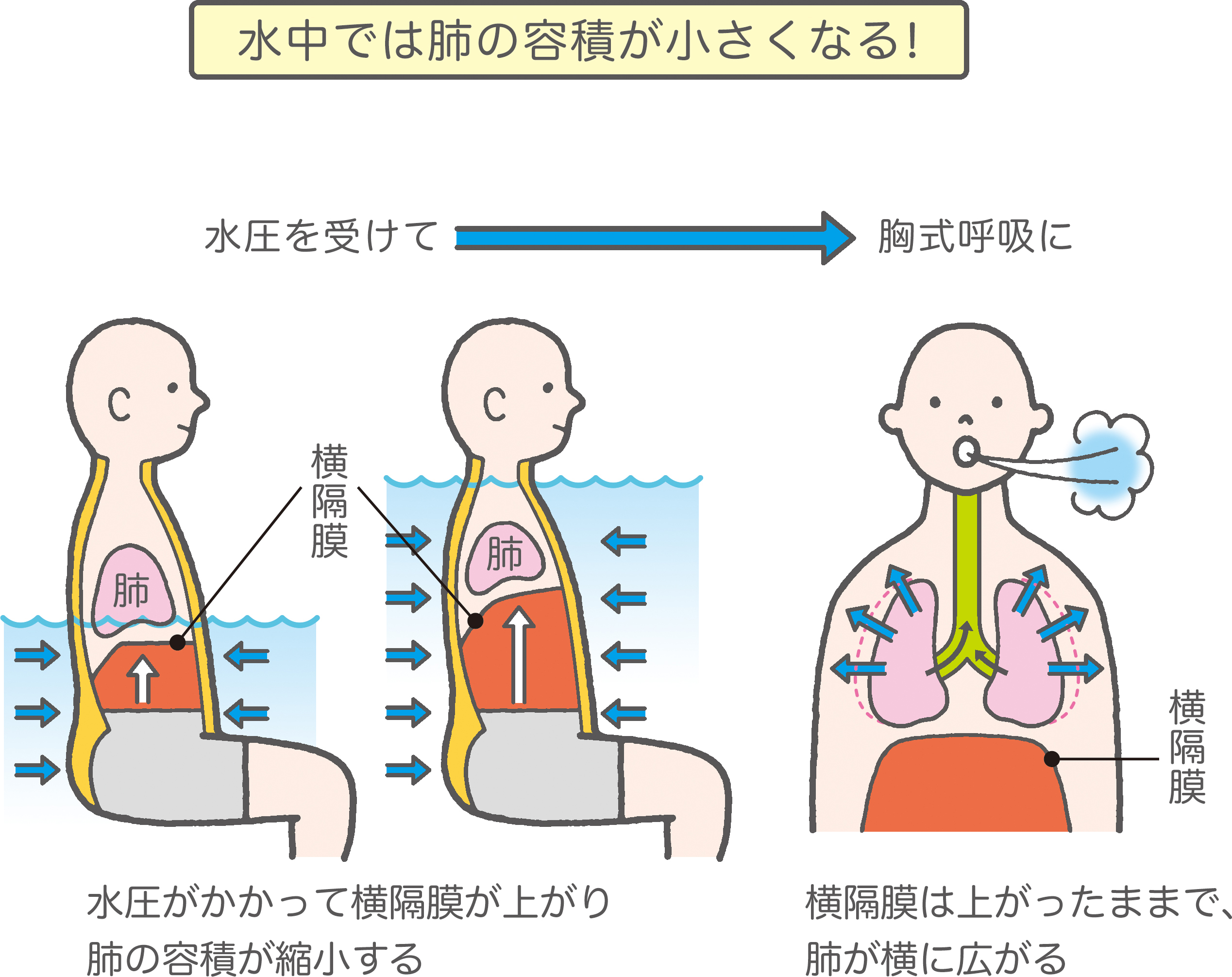 子育て情報web