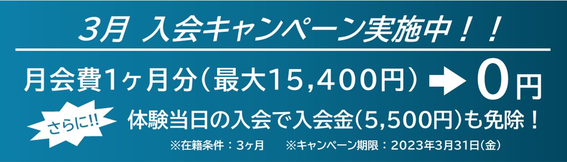 キャンペーン