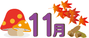 11月