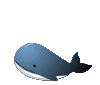 くじら