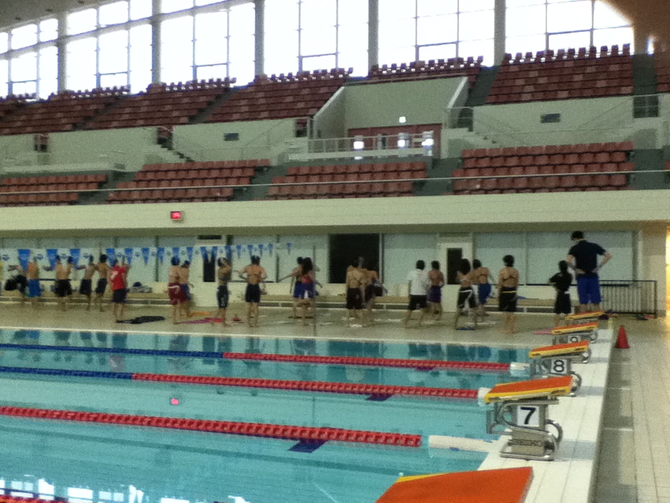 ﾀﾞｲｴｰﾌﾟﾛﾋﾞｽ?