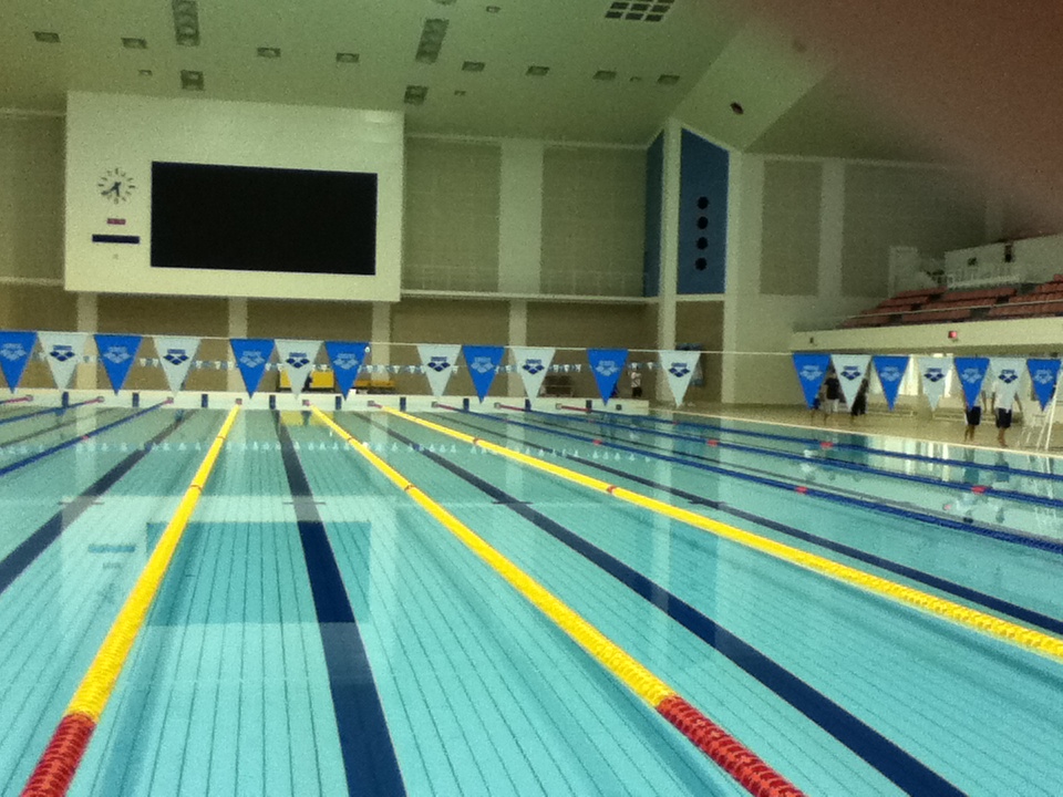 ﾀﾞｲｴｰﾌﾟﾛﾋﾞｽ?