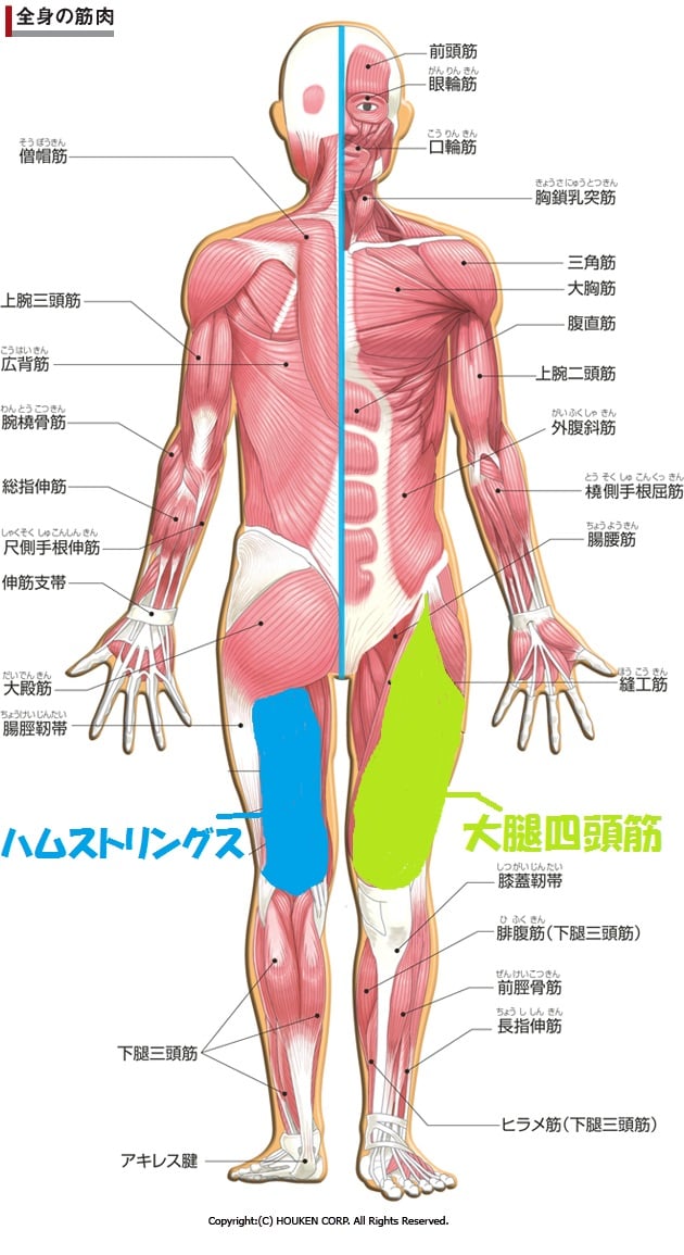 イトマンスイミングスクール スクール案内