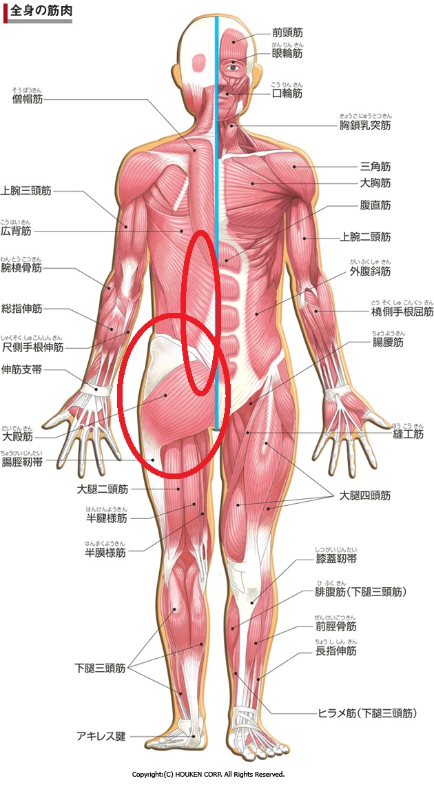 【体験教室受付中】イトマンスイミングスクール西神戸校
