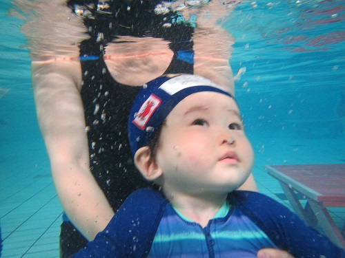 水中写真