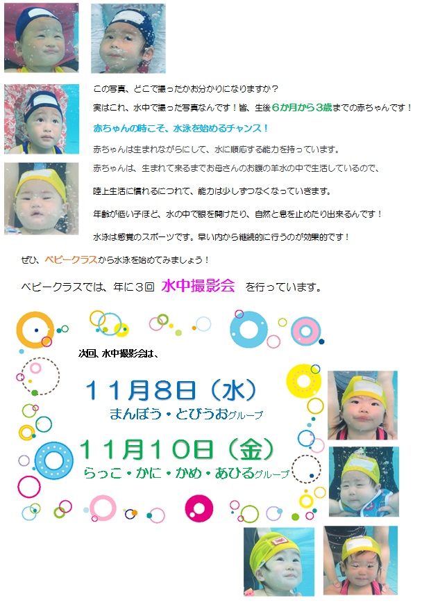 水中撮影会のお知らせ