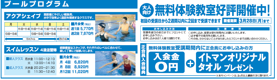 大人向けプールプログラム無料体験