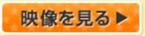 映像を見る