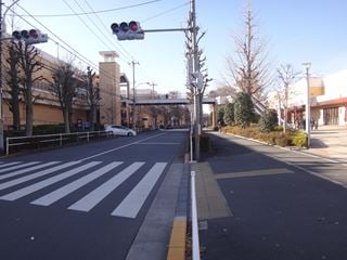 どうやらこうやら