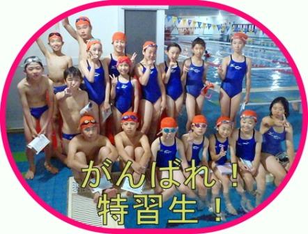 イトマンスイミングスクール 指定水着とキャップ 特習クラス