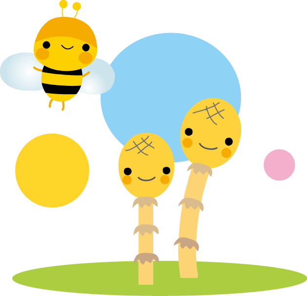 イトマンスイミングスクール スクール案内