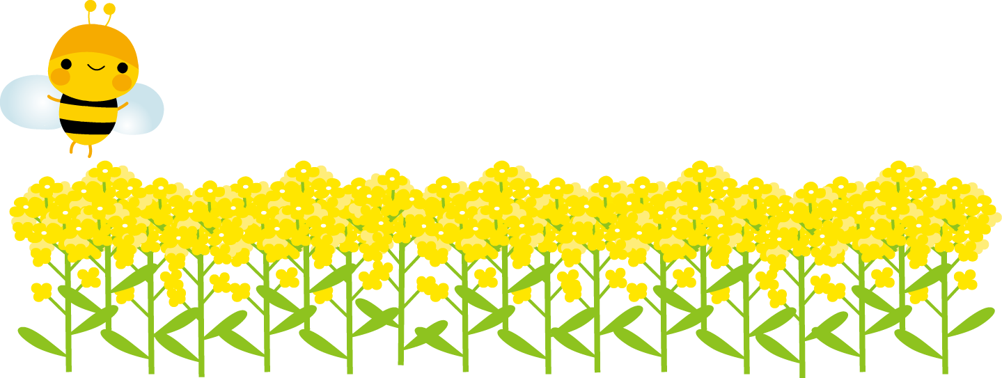 イトマンスイミングスクール スクール案内