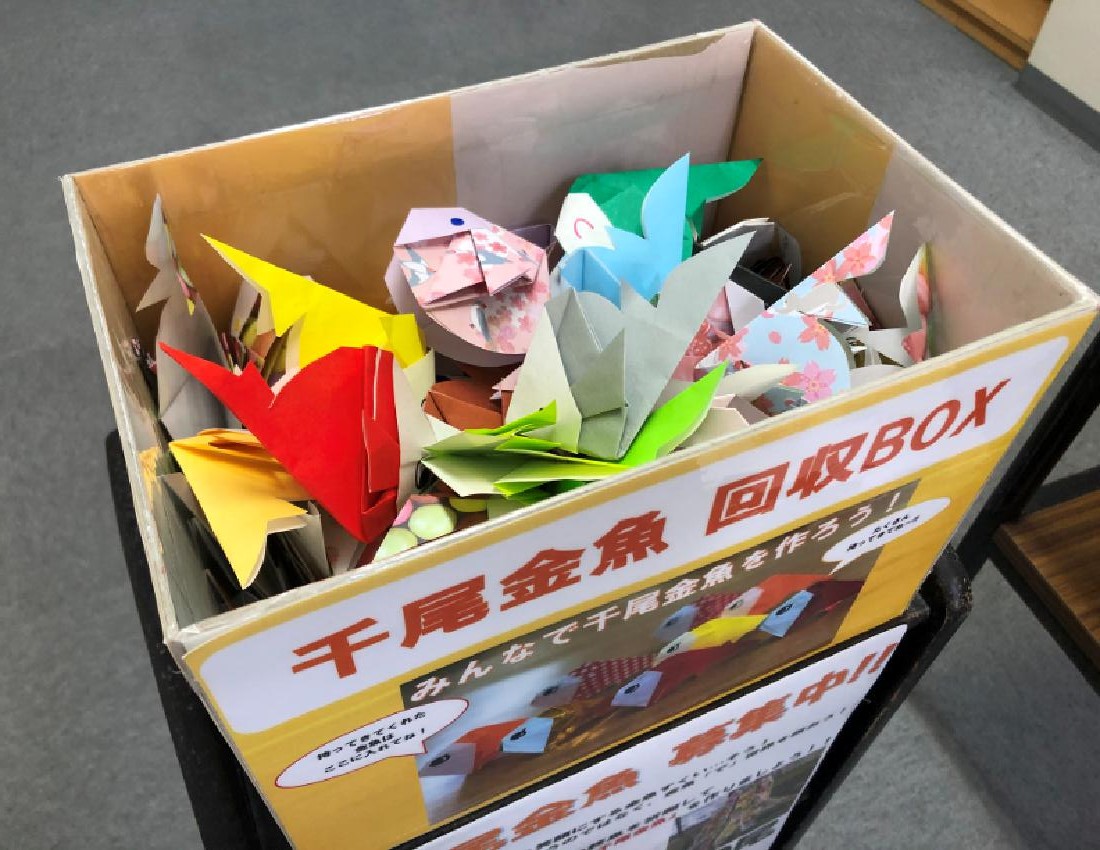魚