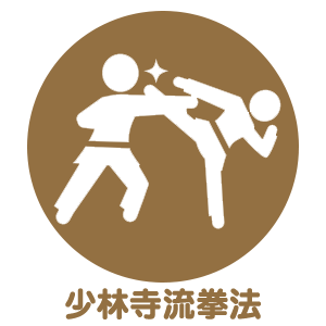 少林寺流拳法