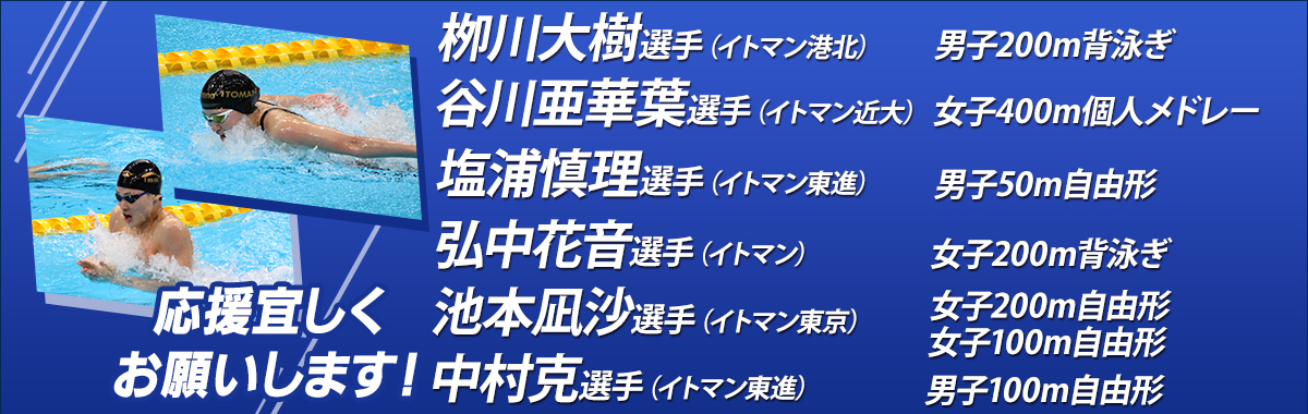 イトマンスイミングスクール 水泳教室